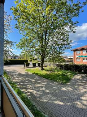 Foto - Wohnung zum Mieten in Magdeburg 469,00 € 67 m²