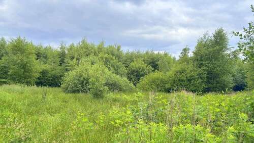 Foto - Grundstück in Edewecht 78.000,00 € 47086 m²