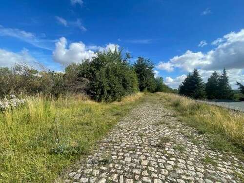 Foto - Grundstück zu verkaufen in Wethau 55.000,00 € 5308 m²