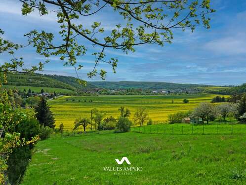 Foto - Grundstück zu verkaufen in Freyburg (Unstrut) 70.000,00 € 7740 m²