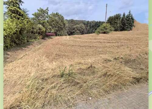 Foto - Grundstück zu verkaufen in Heusweiler 191.000,00 € 4628 m²