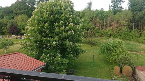 Foto - Wohnung zum Mieten in Rinteln 475,00 € 67.68 m²