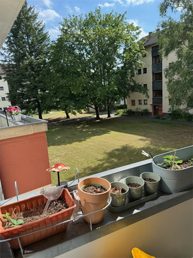 Foto - Wohnung zum Kaufen in Berlin 135.000,00 € 44 m²