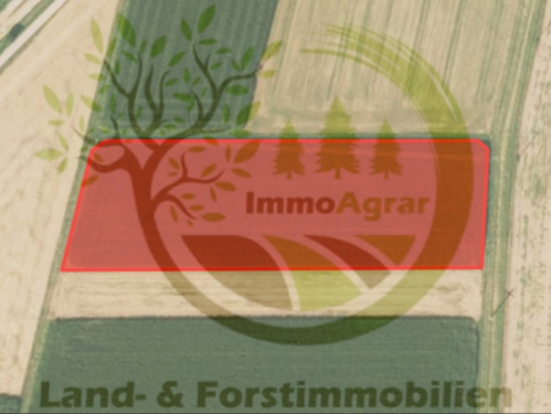 Foto - Grundstück in Günzburg 100.000,00 € 13612 m²