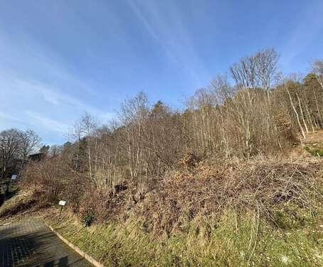 Foto - Grundstück zu verkaufen in Kaiserslautern 99.000,00 € 972 m²