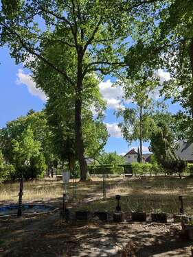 Foto - Grundstück zu verkaufen in Falkensee 409.000,00 € 1053 m²