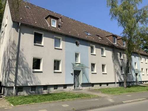 Foto - Wohnung zum Mieten in Herne 429,00 € 53.49 m²