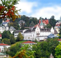 Haus zum Kaufen in Baden-Baden 1.299.000,00 € 262 m²