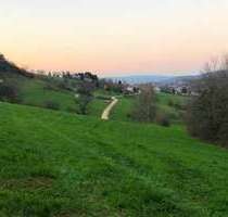 Grundstück zu verkaufen in Wittnau 1.000.000,00 € 1031 m²