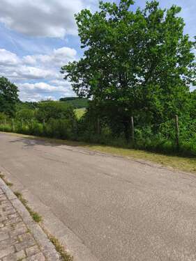 Foto - Grundstück zu verkaufen in Schiersfeld 45.000,00 € 850 m²