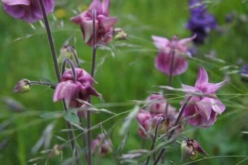 Foto - Haus zum Kaufen in Wutha-Farnroda 229.000,00 € 164 m²