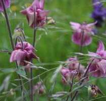 Haus zum Kaufen in Wutha-Farnroda 229.000,00 € 164 m²