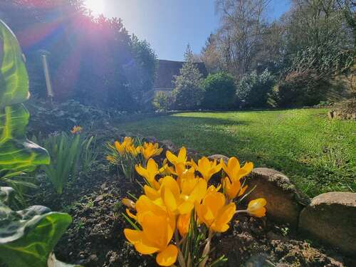 Foto - Haus zum Kaufen in Nieder-Wiesen 294.000,00 € 170 m²