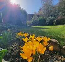 Haus zum Kaufen in Nieder-Wiesen 294.000,00 € 170 m²