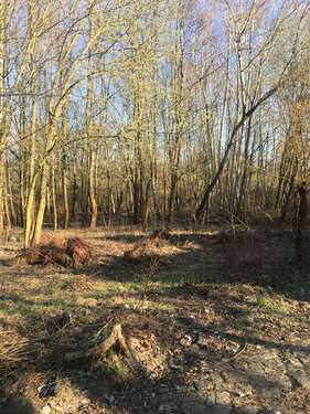 Foto - Grundstück in Kleinmachnow 100.000,00 € 832 m²