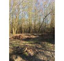 Grundstück in Kleinmachnow 100.000,00 € 832 m²