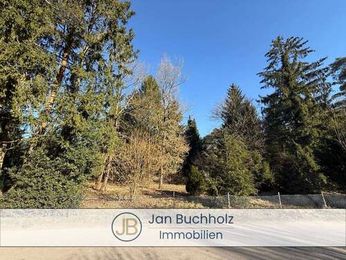 Foto - Grundstück zu verkaufen in Buchholz in der Nordheide Holm-Seppensen 430.000,00 € 1866 m²