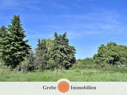 Foto - Grundstück zu verkaufen in Zossen Dabendorf 663.750,00 € 2655 m²