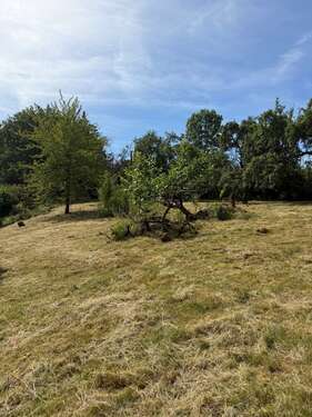 Foto - Grundstück zu verkaufen in Pirmasens 129.000,00 € 10000 m²