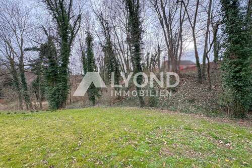 Foto - Grundstück zu verkaufen in Gernrode 199.000,00 € 6243 m²