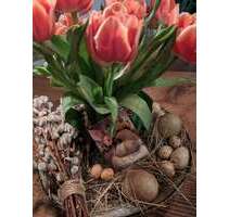 Haus zum Kaufen in Babenhausen 669.000,00 € 276 m²