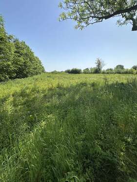 Foto - Grundstück zu verkaufen in Grevesmühlen 95.000,00 € 1390 m²