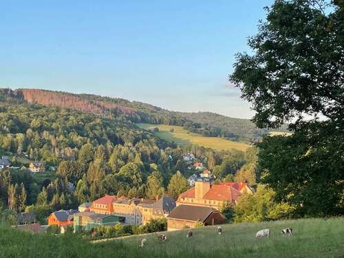 Foto - Haus zum Kaufen in Sebnitz 240.000,00 € 1336 m²