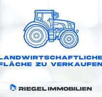 Spezialgewerbe in Mannweiler-Cölln 9.900,00 € 7536 m²
