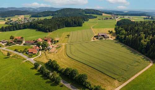 Foto - Haus zum Kaufen in Michelsneukirchen 365.000,00 € 120 m²