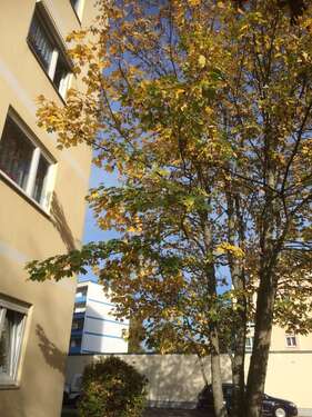 Foto - Wohnung zum Kaufen in Villingen-Schwenningen 193.000,00 € 93.7 m²
