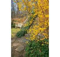 Wohnung zum Kaufen in Berlin 490.000,00 € 110 m²