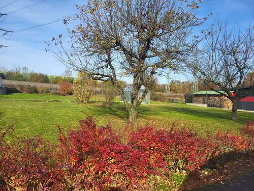 Foto - Grundstück zu verkaufen in Ehningen 450.000,00 € 888 m²