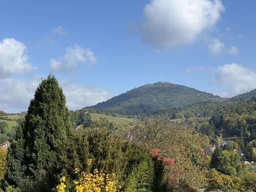 Foto - Wohnung zum Kaufen in Baden-Baden 780.000,00 € 215.56 m²