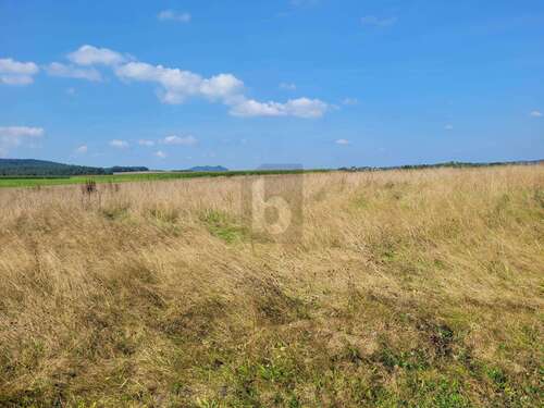 Foto - Grundstück zu verkaufen in Großlittgen 56.160,00 € 780 m²