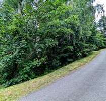 Grundstück zu verkaufen in Bad Gottleuba 49.900,00 € 1250 m²