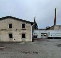 Halle in Bad Salzuflen 795.000,00 € 2288.68 m²