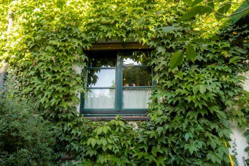 Foto - Haus zum Kaufen in München 480.000,00 € 100 m²