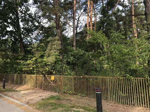 Foto - Grundstück zu verkaufen in Königs Wusterhausen, OT Zeesen 390.000,00 € 1405 m²