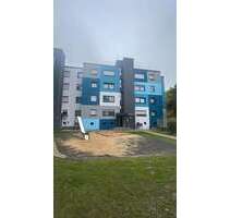 Wohnung zum Mieten in Bochum 312,00 € 39 m²