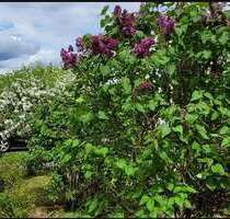 Wohnung zum Mieten in Eppstein 1.023,00 € 93 m²