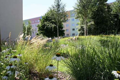 Foto - Wohnung zum Mieten in Pirna 256,68 € 49.2 m²