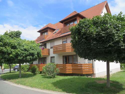 Foto - Wohnung zum Mieten in Pirna 363,30 € 51.9 m²