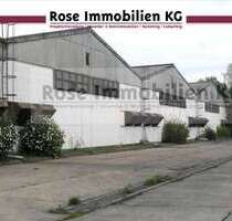 Halle in Küstriner Vorland 1.432.000,00 € 8250 m²