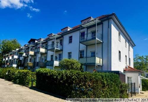Foto - Wohnung zum Mieten in Riesa 440,00 € 70.81 m²