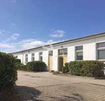 Halle in Leipzig 425,00 € 56.9 m²