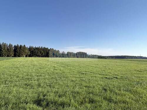 Foto - Grundstück zu verkaufen in Otterfing 12.500,00 € 500 m²