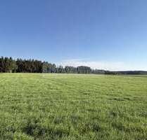 Grundstück zu verkaufen in Otterfing 12.500,00 € 500 m²