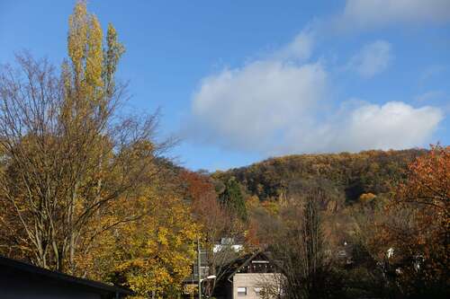 Foto - Wohnung zum Mieten in Bonn (Beuel-Oberkassel) 510,00 € 24 m²