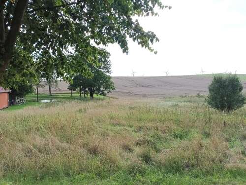 Foto - Grundstück zu verkaufen in Lebehn 39.000,00 € 1790 m²