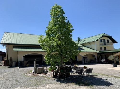 Foto - Haus zum Kaufen in Bad Füssing 1.650.000,00 € 600 m²